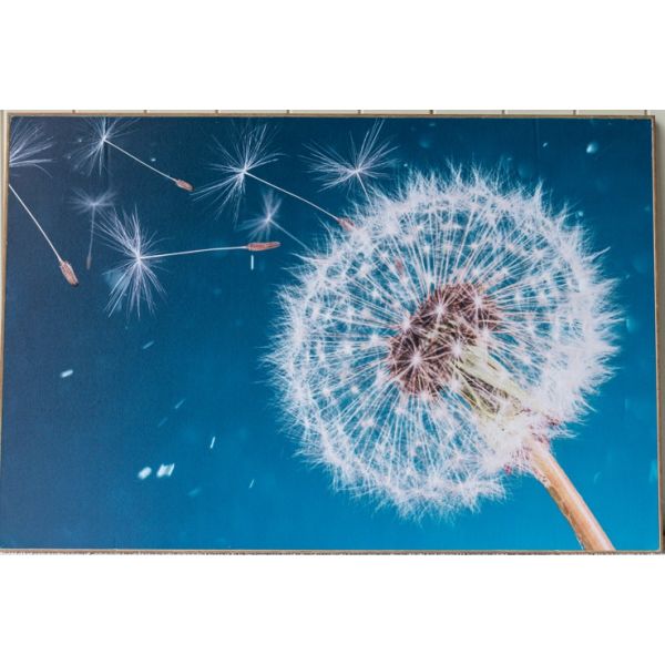 Wall Art - Dandelion Canvas